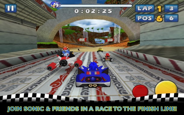 Sonic SEGA All-Stars Racing (1)