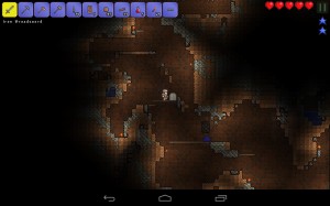 Terraria (16)