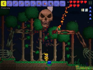 Terraria (3)